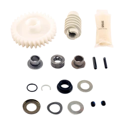 Liftmaster Genuine Drive Gear and Worm Kit - 041A2817-6P 